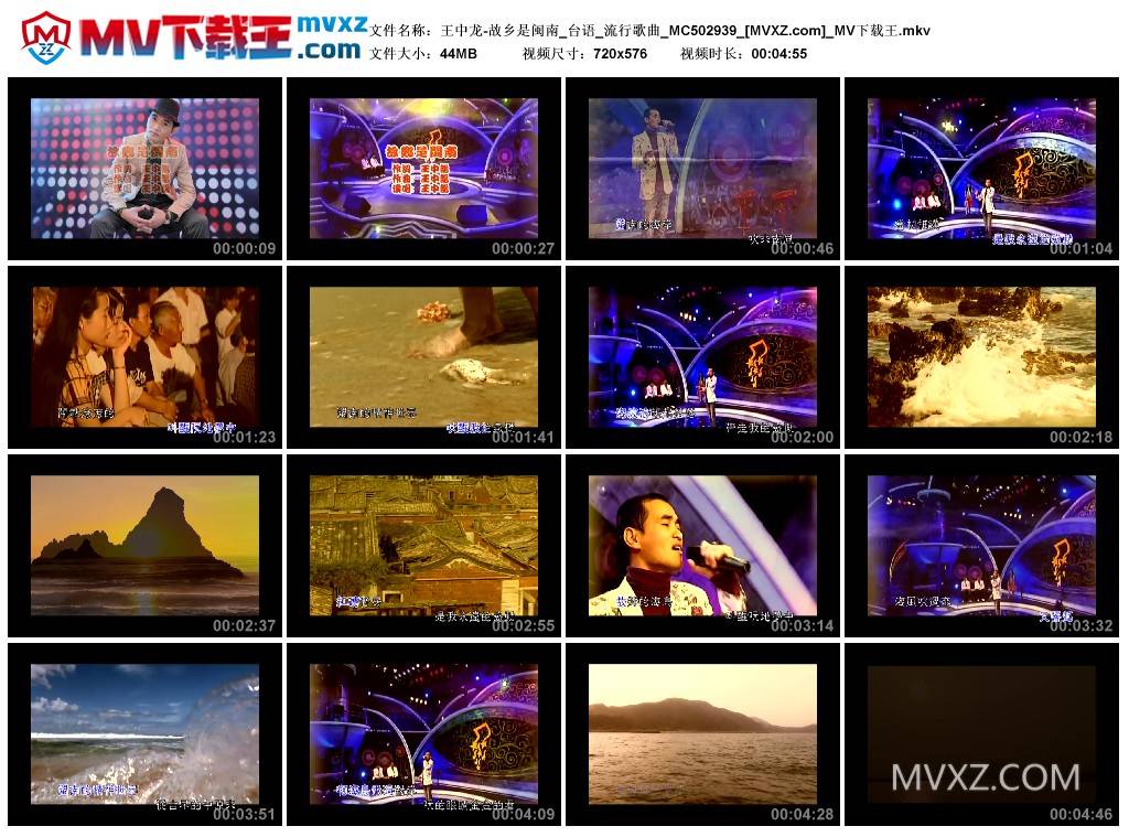 王中龙-故乡是闽南_台语_流行歌曲_MC502939